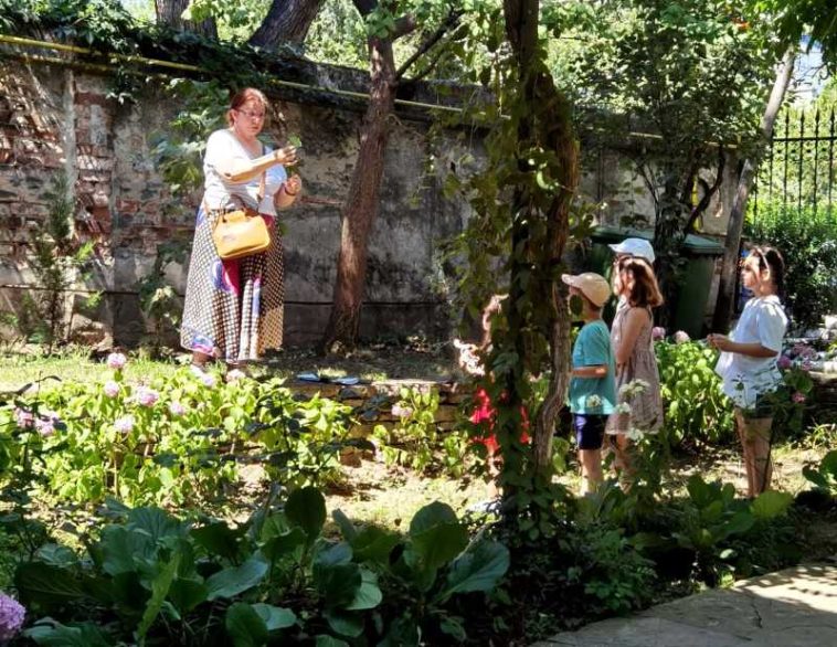 MNAR: Atelierele ‘Grădina Verii’ continuă duminică la Muzeul Th. Pallady