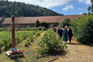Harghita: Zilele Plantelor Medicinale din Ținutul Secuiesc, în weekend, la Șumuleu Ciuc