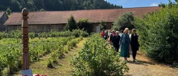 Harghita: Zilele Plantelor Medicinale din Ținutul Secuiesc, în weekend, la Șumuleu Ciuc