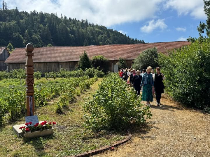 Harghita: Zilele Plantelor Medicinale din Ținutul Secuiesc, în weekend, la Șumuleu Ciuc