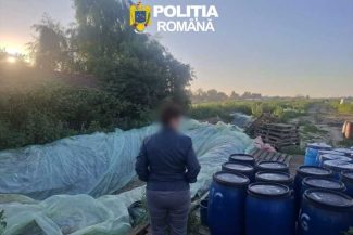 Dâmbovița: Aproximativ 8 tone de varză murată – distruse, după ce au fost găsite depozitate în gropi săpate în pământ