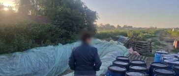 Dâmbovița: Aproximativ 8 tone de varză murată – distruse, după ce au fost găsite depozitate în gropi săpate în pământ