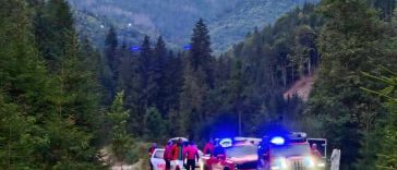 Argeș: Cioban rănit de un urs în Masivul Iezer-Păpușa; bărbatul a fost transportat conștient la spital