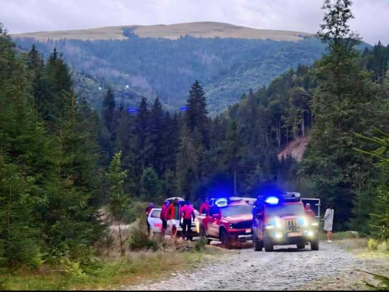 Argeș: Cioban rănit de un urs în Masivul Iezer-Păpușa; bărbatul a fost transportat conștient la spital