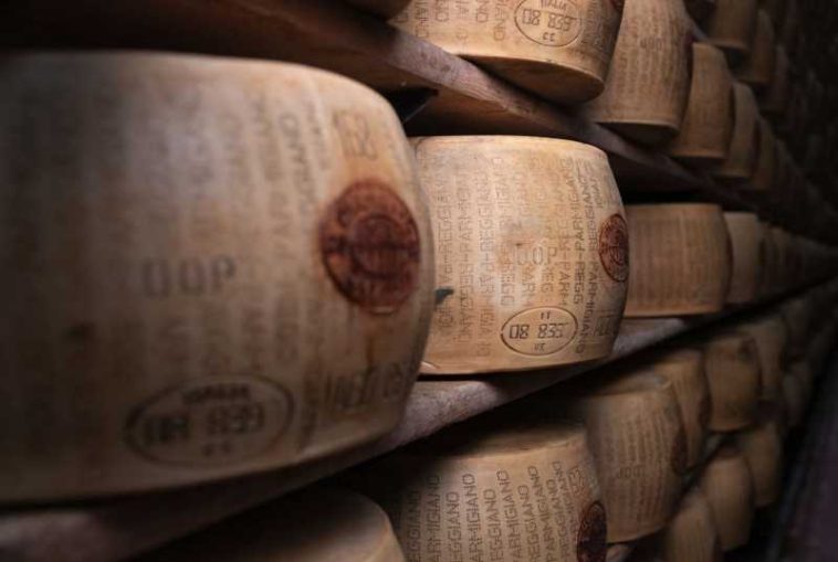 Italia: Producătorii de parmezan au probleme din cauza caniculei (GALERIE FOTO)