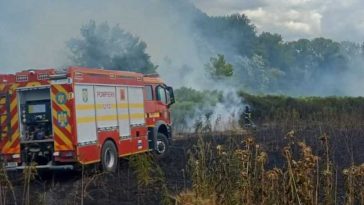 Dolj: Peste 20 de intervenții ale pompierilor în două zile; au ars zeci de hectare de vegetație uscată și culturi