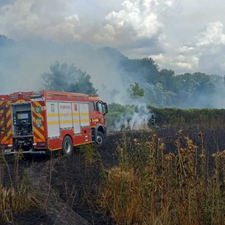 Dolj: Peste 20 de intervenții ale pompierilor în două zile; au ars zeci de hectare de vegetație uscată și culturi