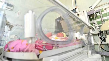 Nitrații din apa potabilă ar fi răspunzători de 120 de nașteri premature pe an în Noua Zeelandă (studiu)