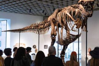 Un schelet de T-Rex, adjudecat pentru 50 de milioane de dolari la New York, un preț-record