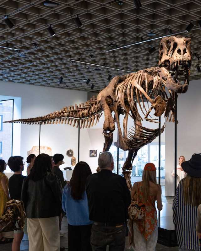 Un schelet de T-Rex, adjudecat pentru 50 de milioane de dolari la New York, un preț-record