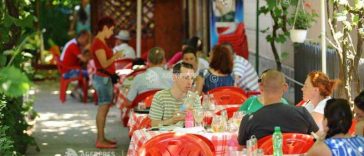 ANSVSA a aplicat amenzi de peste un milion de lei în prima etapă a Comandamentului Estival Regional 2026