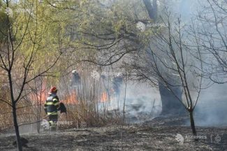 IGSU: Campanie împotriva incendiilor de vegetație; arderea vegetației este interzisă – amenzi de până la 100.000 de lei