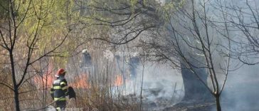 IGSU: Campanie împotriva incendiilor de vegetație; arderea vegetației este interzisă – amenzi de până la 100.000 de lei