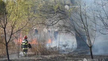 IGSU: Campanie împotriva incendiilor de vegetație; arderea vegetației este interzisă – amenzi de până la 100.000 de lei
