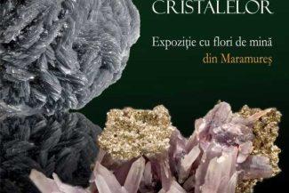 Maramureș: Expoziția ”Magia Cristalelor” cu flori de mină din județ – timp de trei luni în municipiul Tulcea