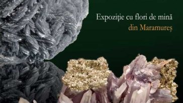 Maramureș: Expoziția ”Magia Cristalelor” cu flori de mină din județ – timp de trei luni în municipiul Tulcea