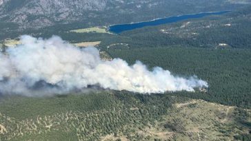 Statele Unite, afectate de fumul degajat de incendiile de vegetație din Canada
