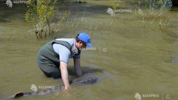 Tulcea: Demersuri pentru punerea în funcțiune a stației de reproducere a peștilor migratori