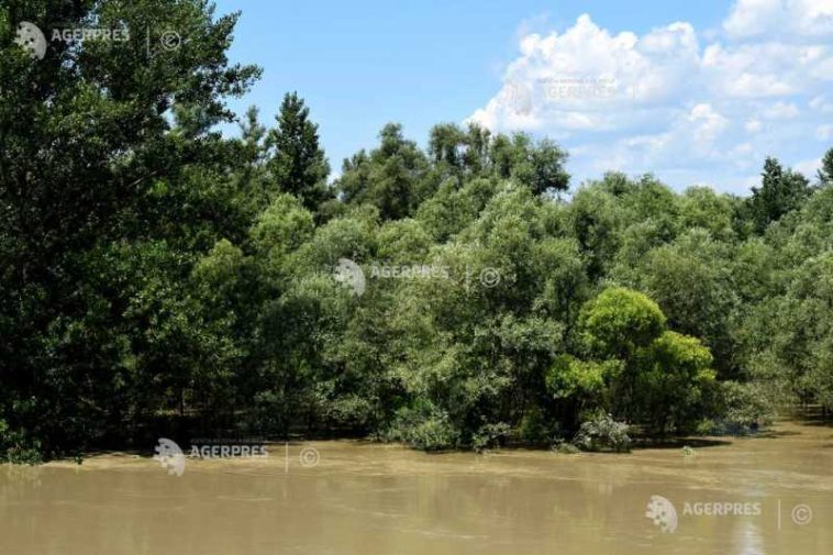 INHGA: Cod galben de viituri pe râuri din 12 județe, de sâmbătă la prânz