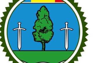 Sesizări la Garda de Mediu Arad: Mirosul de tocăniță din vecini, cântatul cocoșului, un vecin nu salută