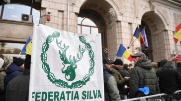 Aprobarea Legii salarizării, în forma actuală, va duce la scăderea cu 25% a veniturilor silvicultorilor (sindicate)