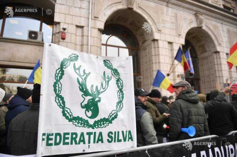 Aprobarea Legii salarizării, în forma actuală, va duce la scăderea cu 25% a veniturilor silvicultorilor (sindicate)
