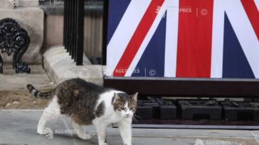 Prim-miniștrii britanici se succed la Downing Street Nr.10, însă motanul Larry rămâne o prezență constantă