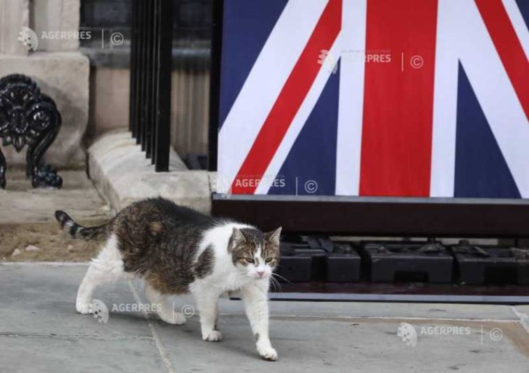 Prim-miniștrii britanici se succed la Downing Street Nr.10, însă motanul Larry rămâne o prezență constantă