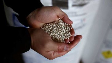 Franța aprobă reintroducerea unor pesticide interzise