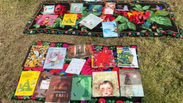 VIDEO BIBLIOTECA AZI/Vrancea: Proiectul ‘Carte în sate’ încearcă să readucă lectura în satele fără biblioteci