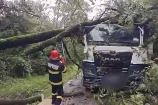 Prahova: Doi copaci au căzut peste un autocamion care transporta piatră, în Păulești