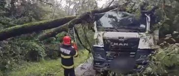 Prahova: Doi copaci au căzut peste un autocamion care transporta piatră, în Păulești