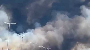 Turiști și localnici, evacuați din cauza unui incendiu de vegetație în apropiere de Bordeaux