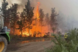 BTA/Incendiile de pădure fac ravagii pe patru continente, Bulgaria, printre cele mai afectate țări din UE
