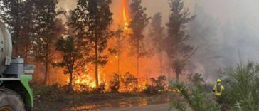 BTA/Incendiile de pădure fac ravagii pe patru continente, Bulgaria, printre cele mai afectate țări din UE