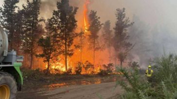 BTA/Incendiile de pădure fac ravagii pe patru continente, Bulgaria, printre cele mai afectate țări din UE