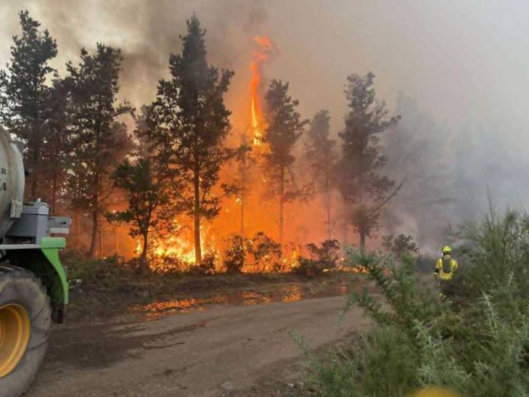 BTA/Incendiile de pădure fac ravagii pe patru continente, Bulgaria, printre cele mai afectate țări din UE