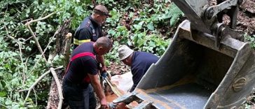 Hunedoara: Văcuță căzută într-o prăpastie de 15 metri, salvată după șase ore de pompierii din Brad