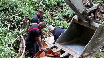 Hunedoara: Văcuță căzută într-o prăpastie de 15 metri, salvată după șase ore de pompierii din Brad