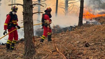 VIDEO Incendii în Spania: 3.500 de persoane evacuate dintr-o localitate aflată la 60 km de Madrid