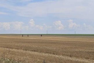 Dronă doborâtă la Buzău/Oana Țoiu: Securitatea consolidată este calea către pace la granița noastră