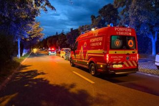 Sibiu: Urs văzut pe unul dintre cele mai circulate bulevarde din municipiu