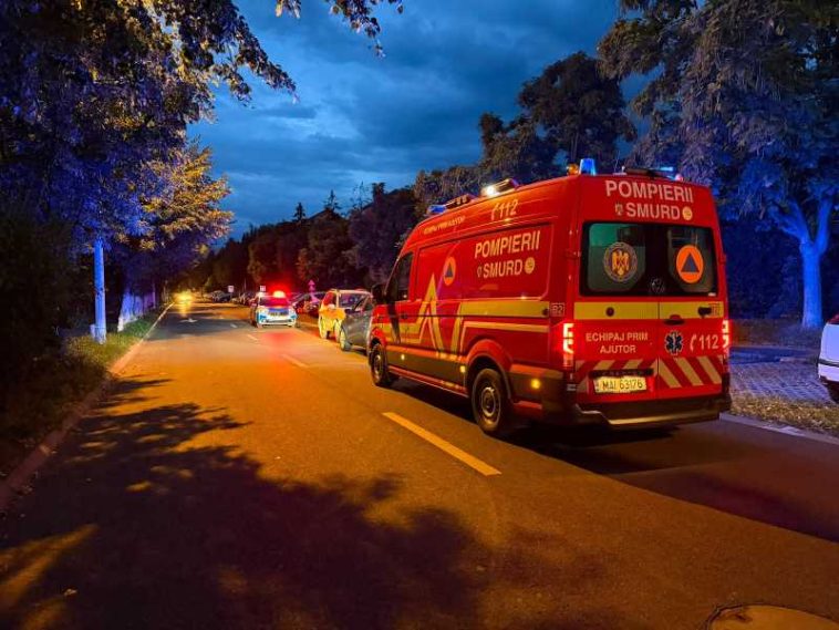 Sibiu: Urs văzut pe unul dintre cele mai circulate bulevarde din municipiu