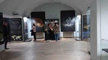 REPORTAJ/ Expoziția permanentă de Preistorie a Muzeului Național al Unirii Alba Iulia, reorganizată după cinci decenii