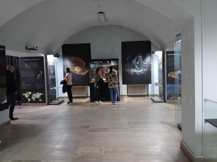 REPORTAJ/ Expoziția permanentă de Preistorie a Muzeului Național al Unirii Alba Iulia, reorganizată după cinci decenii