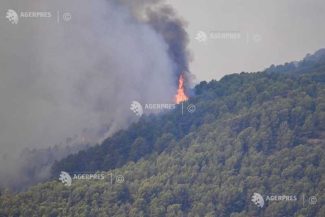 Comisia Europeană vrea ca reziliența în fața incendiilor de vegetație să devină o prioritate