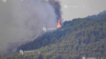 Comisia Europeană vrea ca reziliența în fața incendiilor de vegetație să devină o prioritate