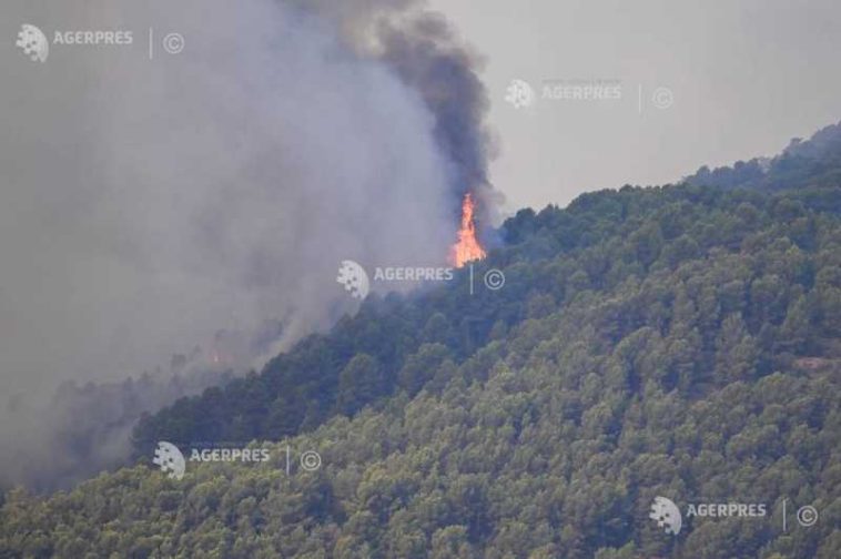 Comisia Europeană vrea ca reziliența în fața incendiilor de vegetație să devină o prioritate