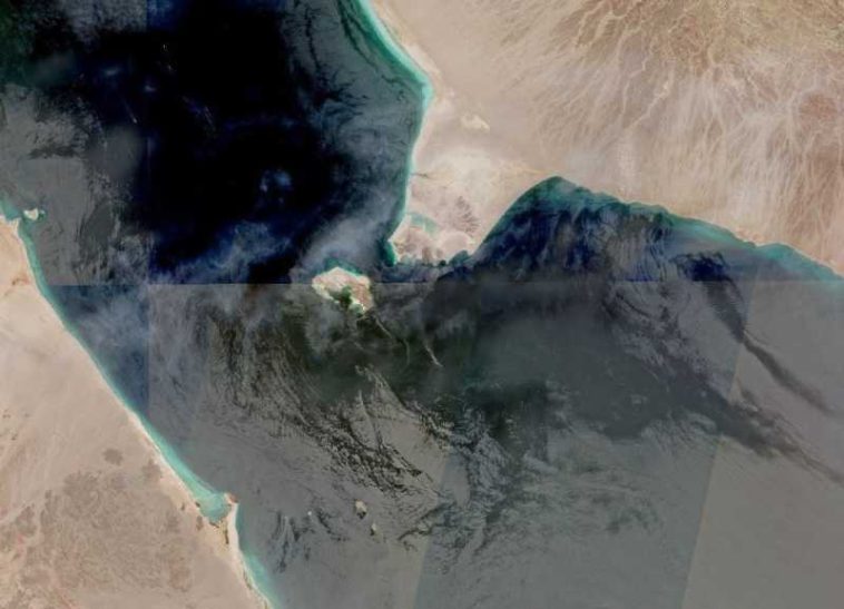 Yemenul acuză rebelii Houthi că vor să aplice modelul iranian prin blocarea navigației în Marea Roșie