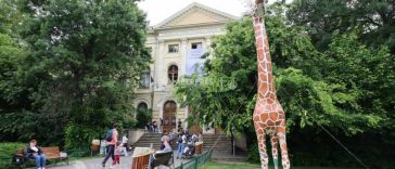 ‘Aventuri cu capibara’ – atelier pentru copii cu vârste între 4 și 6 ani, joi, la Muzeul ‘Antipa’
